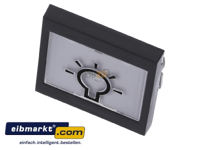 Ansicht oben vorne Gira 021628 Wippe Licht anth System55 