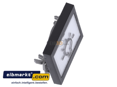 Ansicht oben links Gira 021628 Wippe Licht anth System55 