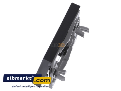Ansicht oben rechts Gira 021628 Wippe Licht anth System55 
