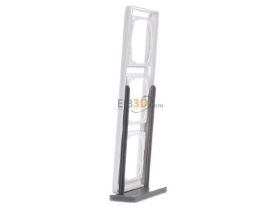 View on the right Gira 110327 Frame 3-gang white 

