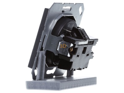 View on the right Jung A 1520 FBFKI ANM Socket outlet (receptacle) earthing pin 
