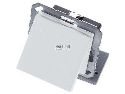 View up front Jung A 1520 NBFKL WWM Socket outlet (receptacle) 

