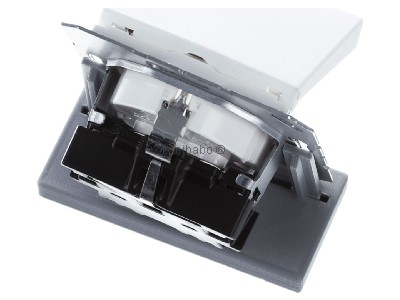 Top rear view Jung A 1520 NBFKL WWM Socket outlet (receptacle) 
