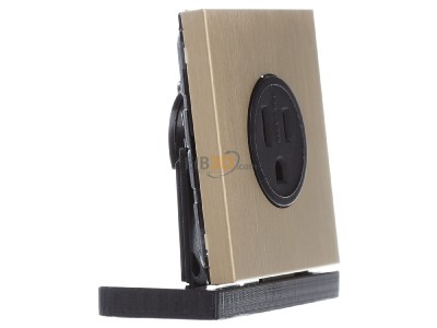Ansicht links Jung ME 2521-15 C Steckdose US-Norm NEMA 15A 125V,Me. classic 