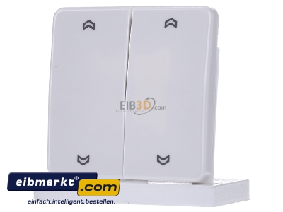 Frontansicht Jung CD 595 MP WW Wippe Symbole aws f�r Taster 2-fach 