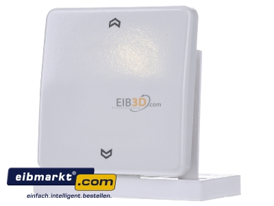 Frontansicht Jung CD 590 P WW Wippe Symbole aws f�r Taster 