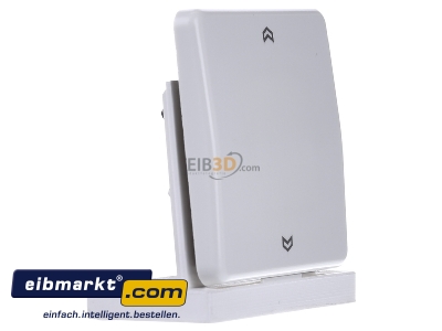 Ansicht links Jung CD 590 P WW Wippe Symbole aws f�r Taster 