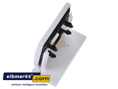 Ansicht oben rechts Jung CD 590 P WW Wippe Symbole aws f�r Taster 