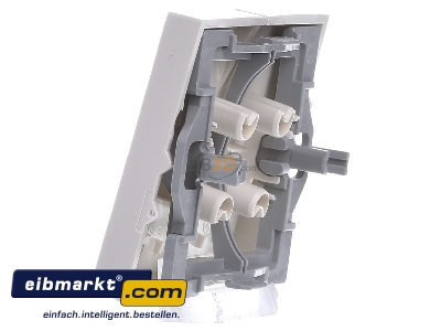 Ansicht rechts Gira 029501 Wippe Seriensch. cws-gl System55 