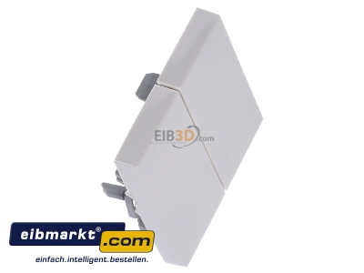 Ansicht oben links Gira 029501 Wippe Seriensch. cws-gl System55 