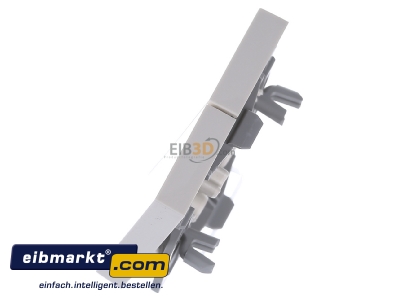 Ansicht oben rechts Gira 029501 Wippe Seriensch. cws-gl System55 