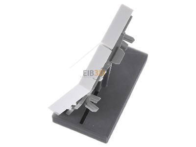 Ansicht oben rechts Gira 029503 Wippe Seriensch. rws-gl System55 