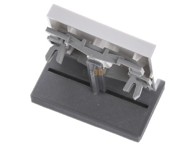 Ansicht oben hinten Gira 067403 Wippe Licht rws-gl fr Taster 