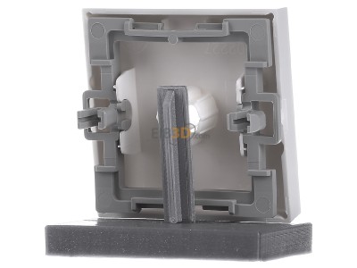 Ansicht hinten Gira 029803 Wippe rws-gl m.Kontroll-Fenster 