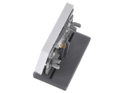Ansicht oben rechts Gira 029803 Wippe rws-gl m.Kontroll-Fenster 