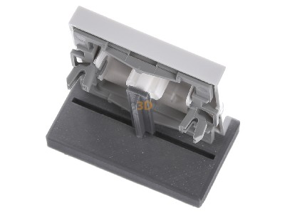Ansicht oben hinten Gira 029803 Wippe rws-gl m.Kontroll-Fenster 