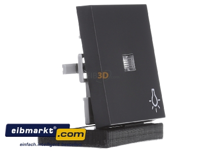 Ansicht links Gira 063028 Wippe anth Symbol Licht 