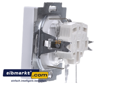View on the right Busch-Jaeger 20 EUCKS/DV-84 Socket outlet protective contact white
