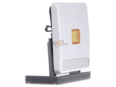 Ansicht links Jung CD 590 NAKO WW Wippe Licht./Schriftf.aws f�r Schalter/Taster 