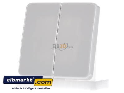 Frontansicht Jung CD 595 BF WW Wippe aws f�r Schalter/Taster 