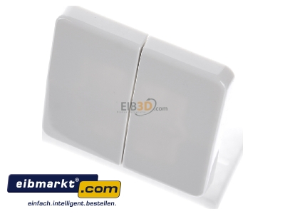 Ansicht oben vorne Jung CD 595 BF WW Wippe aws f�r Schalter/Taster 