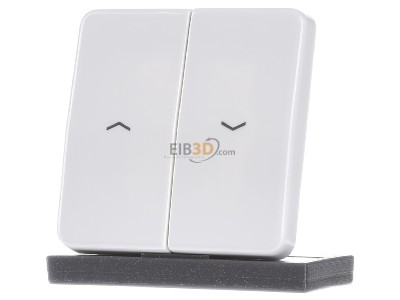 Frontansicht Jung CD 595 PBF WW Wippe Symbole aws f�r Jal.Schalter 