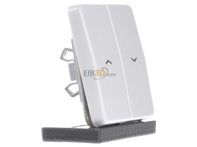 Ansicht links Jung CD 595 PBF WW Wippe Symbole aws f�r Jal.Schalter 