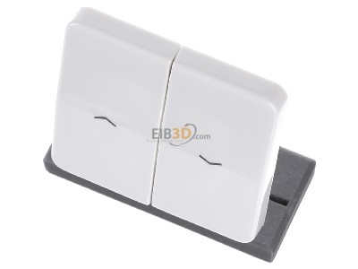 Ansicht oben vorne Jung CD 595 PBF WW Wippe Symbole aws f�r Jal.Schalter 