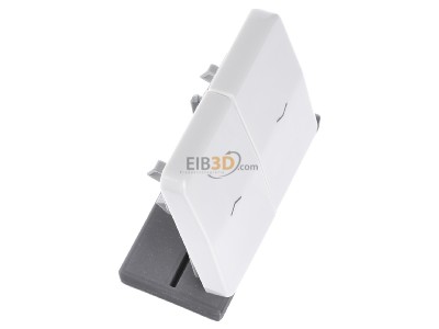 Ansicht oben links Jung CD 595 PBF WW Wippe Symbole aws f�r Jal.Schalter 