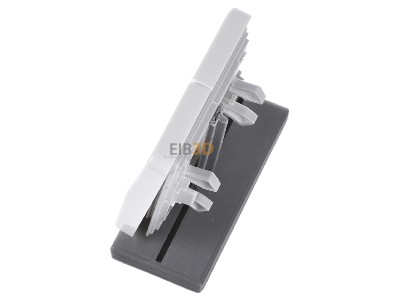 Ansicht oben rechts Jung CD 595 PBF WW Wippe Symbole aws f�r Jal.Schalter 
