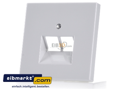 Frontansicht Jung LS969-2UALG Abdeckung lgr f�r IAE/UAE-Dose LS 969-2 UA LG