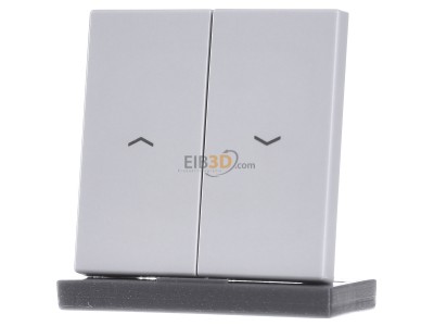 Frontansicht Jung LS 995 P LG Wippe Symbole lgr f�r Taster 