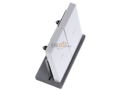 Ansicht oben links Jung LS 995 P LG Wippe Symbole lgr f�r Taster 