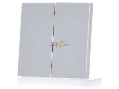 Frontansicht Jung LS 995 LG Wippe lgr f�r Taster 