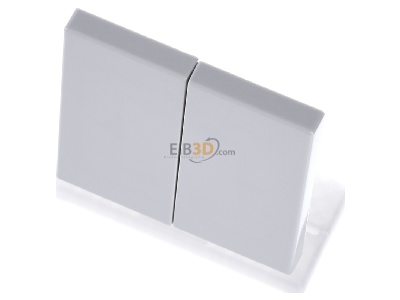 Ansicht oben vorne Jung LS 995 LG Wippe lgr f�r Taster 