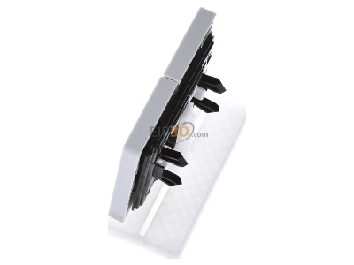 Ansicht oben rechts Jung LS 995 LG Wippe lgr f�r Taster 