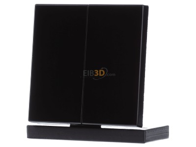 Front view Jung LS 995 SW Cover plate for switch/push button black 
