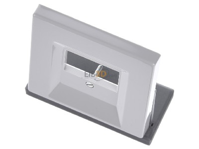 Ansicht oben vorne Jung LS 969 T LG Abdeckung lgr f�r TAE-Dose 
