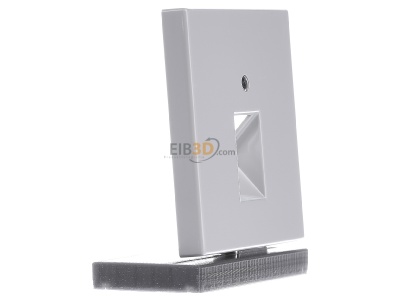 Ansicht links Jung LS 969-1 UA LG Abdeckung lgr f�r IAE/UAE-Dose 