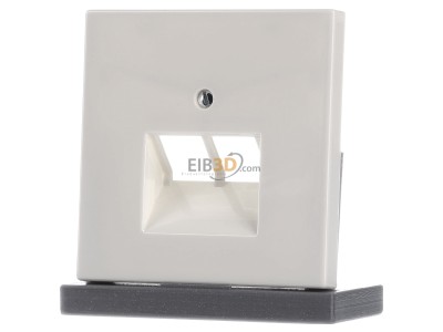 Frontansicht Jung LS 969-2 UA Abdeckung ws f�r IAE/UAE-Dose 