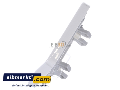 Ansicht oben rechts Jung CD 590 BFK WW Wippe Symbol KLINGEL aws f�r Taster 
