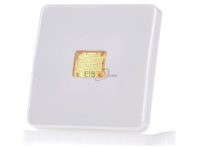 Frontansicht Jung CD 590 KOBF WW Wippe Lichtfenster aws f�r Schalter/Taster 