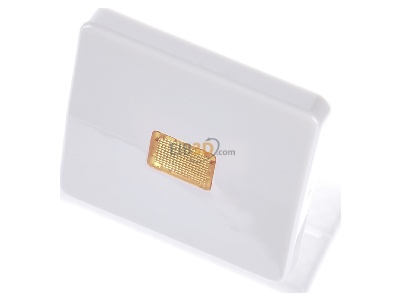 Ansicht oben vorne Jung CD 590 KOBF WW Wippe Lichtfenster aws f�r Schalter/Taster 