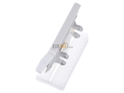 Ansicht oben rechts Jung CD 590 KOBF WW Wippe Lichtfenster aws f�r Schalter/Taster 