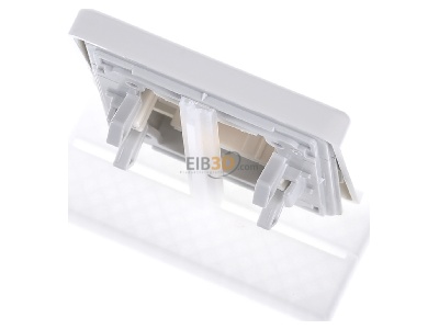 Ansicht oben hinten Jung CD 590 KOBF WW Wippe Lichtfenster aws f�r Schalter/Taster 