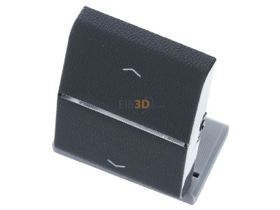 Ansicht oben vorne Jung 800 P Wippe Symbole/Lichtleiter fr Taster 