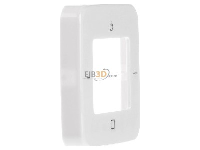 View on the left Busch Jaeger 8252-214-101 Central cover plate 
