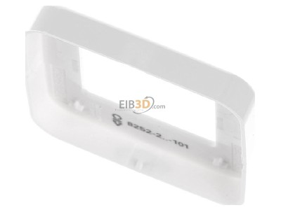 Top rear view Busch Jaeger 8252-214-101 Central cover plate 
