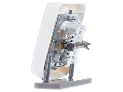 View on the right Busch Jaeger 202 EUJ-214 Socket outlet (receptacle) 
