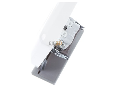 View top right Busch Jaeger 202 EUJ-214 Socket outlet (receptacle) 
